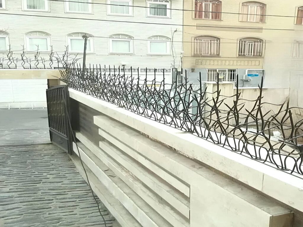 حفاظ شاخ گوزنی حفاظ شاخ گوزنی