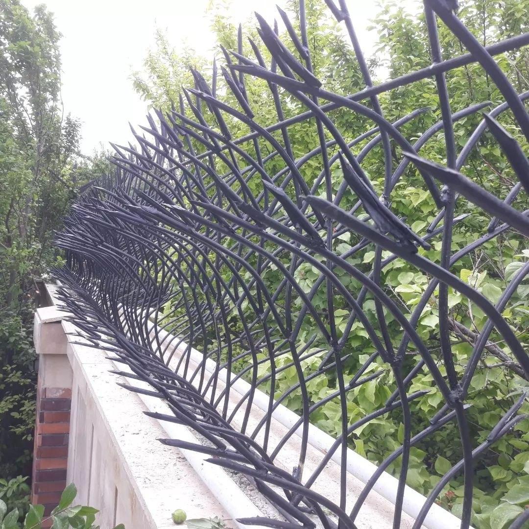 مدل های مختلف حفاظ شاخ گوزنی مدل های مختلف حفاظ شاخ گوزنی