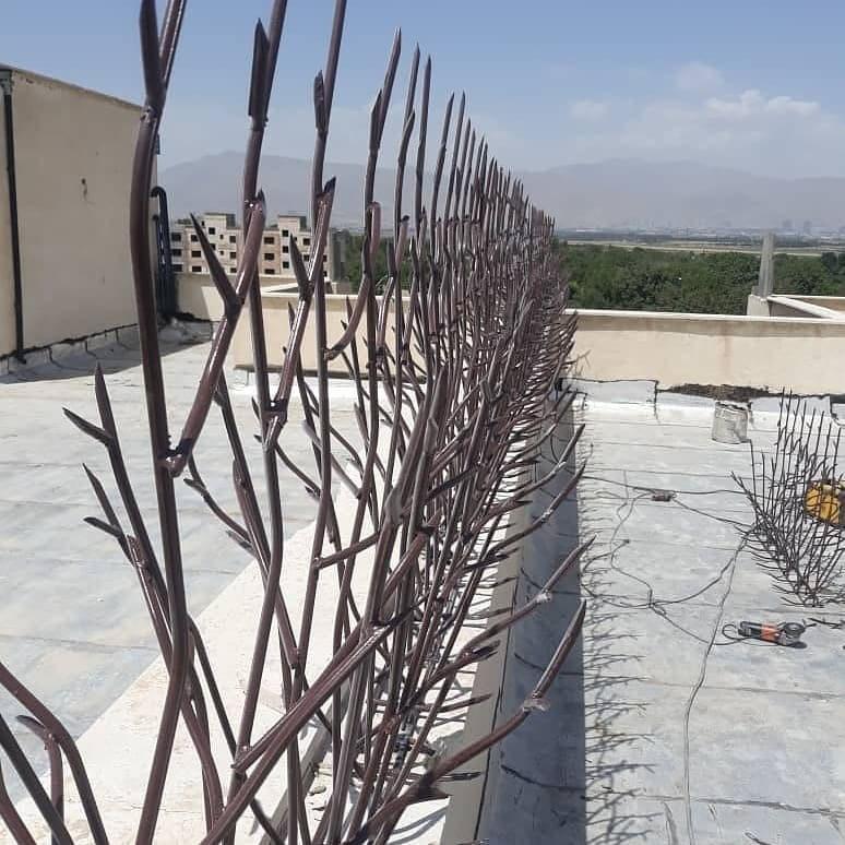 وزن استاندارد حفاظ شاخ گوزنی
