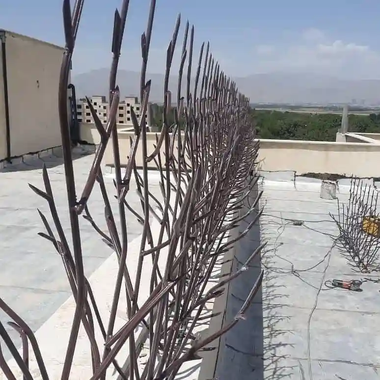 وزن استاندارد حفاظ شاخ گوزنی وزن استاندارد حفاظ شاخ گوزنی