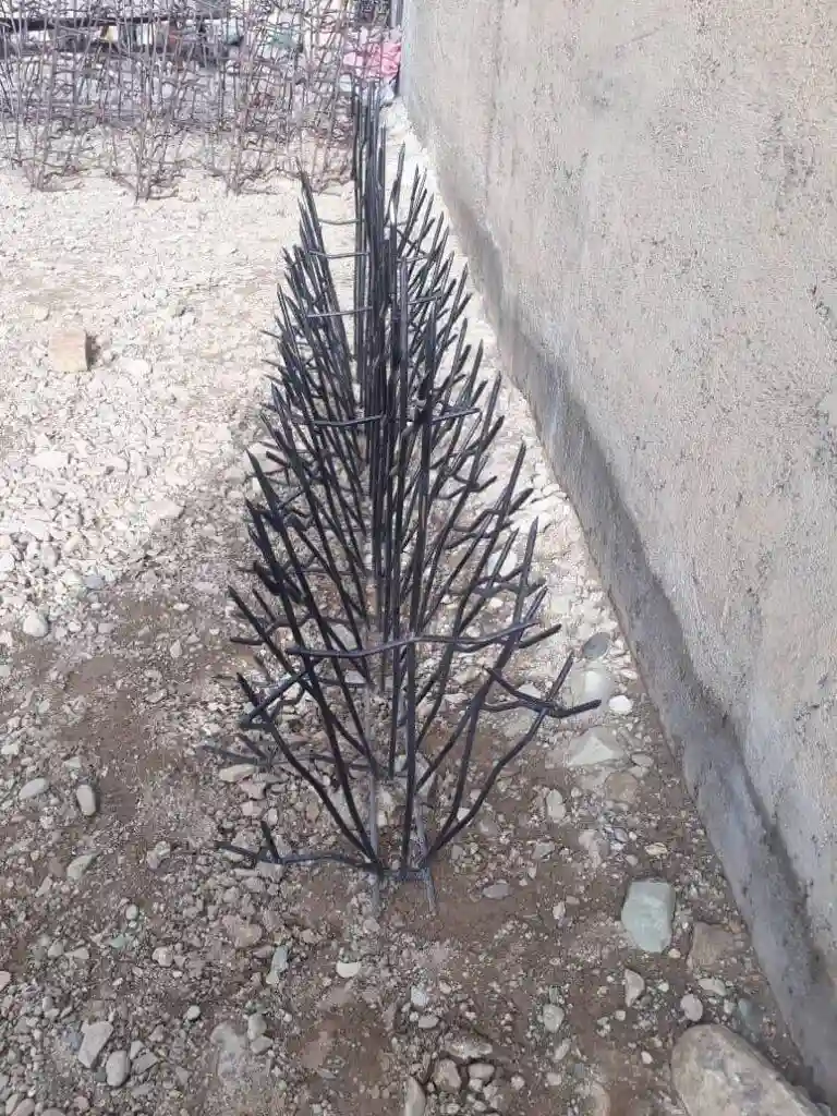 حفاظ شاخ گوزنی چیست حفاظ شاخ گوزنی چیست