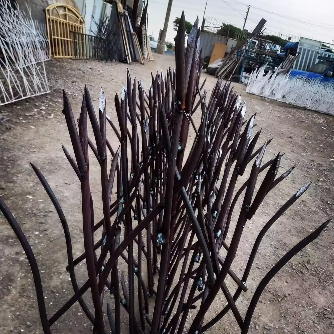 حفاظ شاخ گوزنی و کاهش درصد عبور از روی دیوار حفاظ شاخ گوزنی و کاهش درصد عبور از روی دیوار