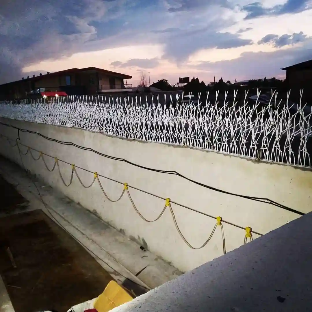 تأثیر گیوتین خور بودن و تیز بودن شاخک ها بر کارایی حفاظ شاخ گوزنی تأثیر گیوتین خور بودن و تیز بودن شاخک ها بر کارایی حفاظ شاخ گوزنی