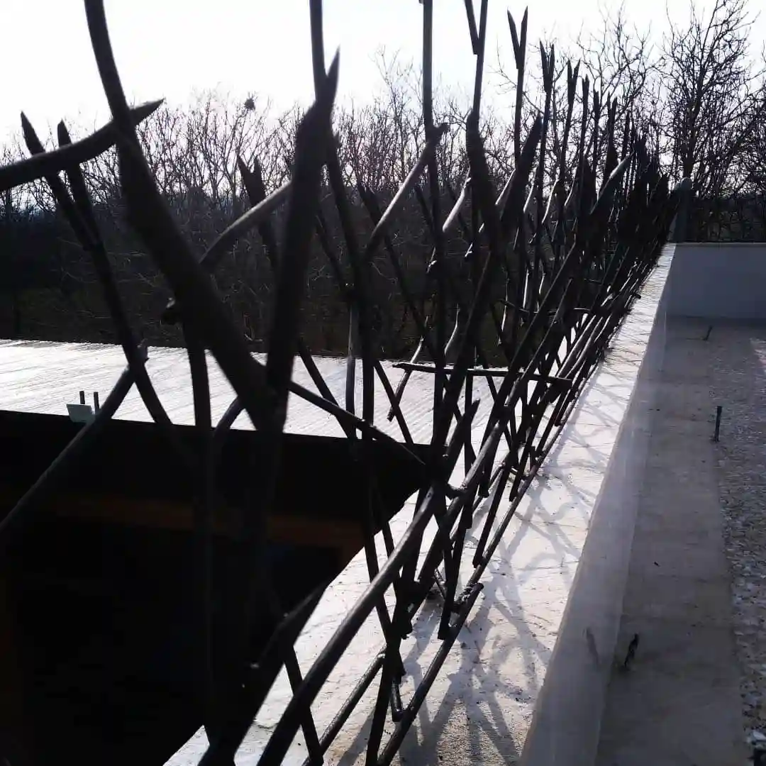 عوامل مؤثر بر تعیین قیمت حفاظ شاخ گوزنی عوامل مؤثر بر تعیین قیمت حفاظ شاخ گوزنی