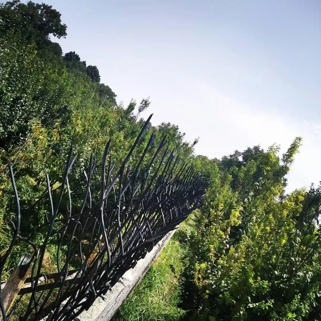 حفاظ بوته ای و کاربردهای آن در امنیت ساختمان حفاظ بوته ای و کاربردهای آن در امنیت ساختمان