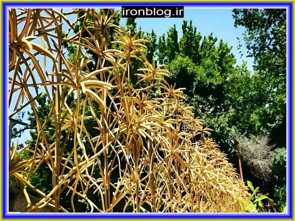 ارتفاع و تراکم حفاظ دیواری