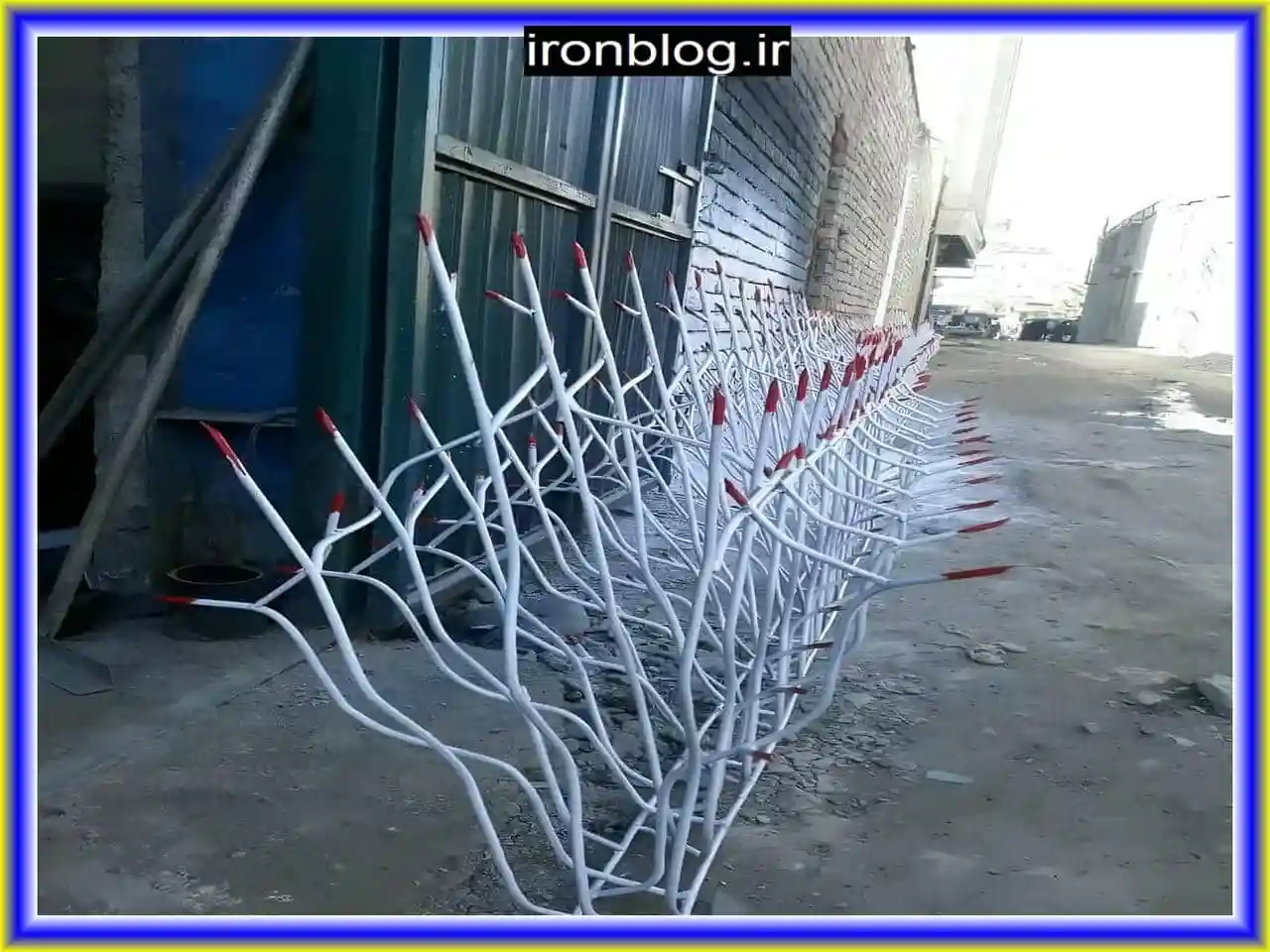 حفاظ شاخ گوزنی حفاظ شاخ گوزنی