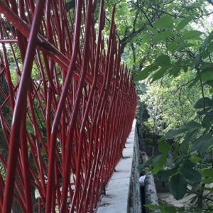 حفاظ بوته ای تراکم 53