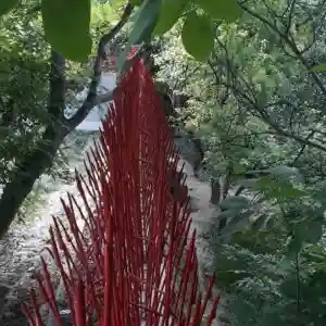 حفاظ بوته ای تراکم 88