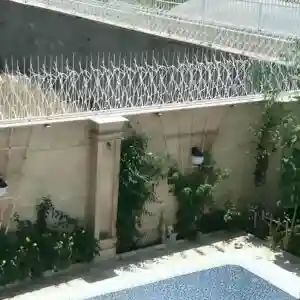 حفاظ شاخ گوزنی تراکم 40