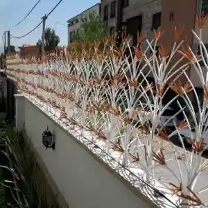 حفاظ لیلیوم