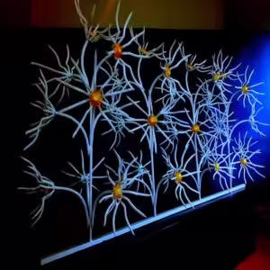 حفاظ گل آفتابگردان: زیبایی و امنیت