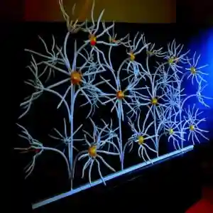 حفاظ گل آفتابگردان: زیبایی و امنیت