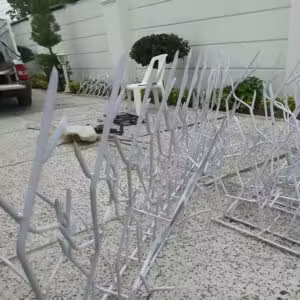 حفاظ شاخ گوزنی