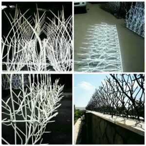 حفاظ شاخ گوزنی