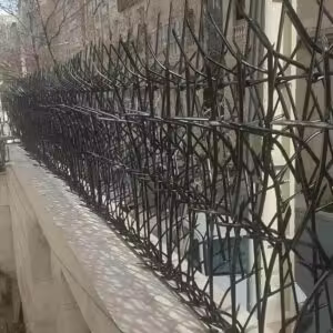 حفاظ شاخ گوزنی