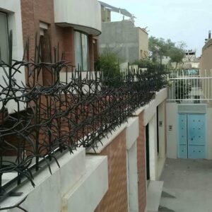 حفاظ شاخ گوزنی