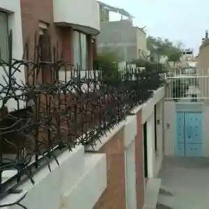 حفاظ شاخ گوزنی