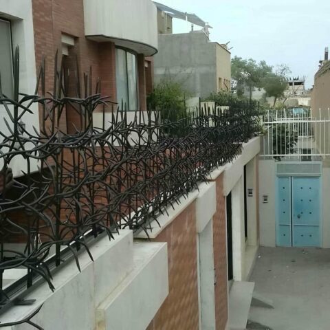 کاربرد حفاظ شاخ گوزنی