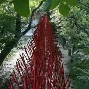 حفاظ شاخ گوزنی