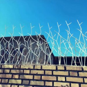 حفاظ شاخ گوزنی