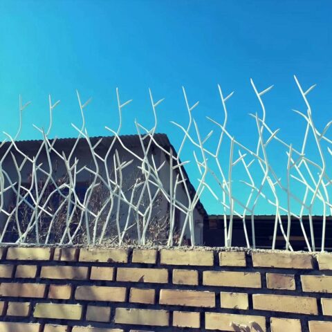 عکس مدل های حفاظ شاخ گوزنی برای دیوار