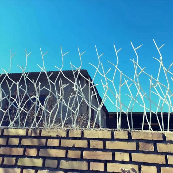 عکس مدل های حفاظ شاخ گوزنی برای دیوار