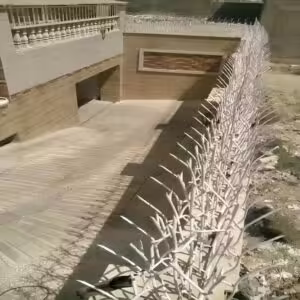 حفاظ شاخ گوزنی