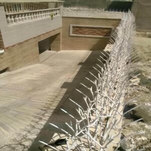 حفاظ شاخ گوزنی