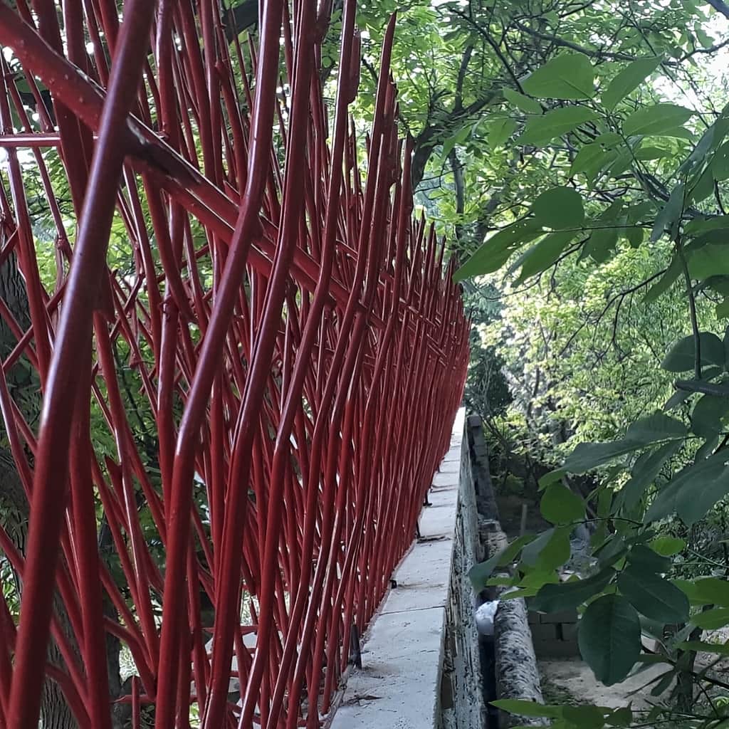 حفاظ بوته ای تراکم 53