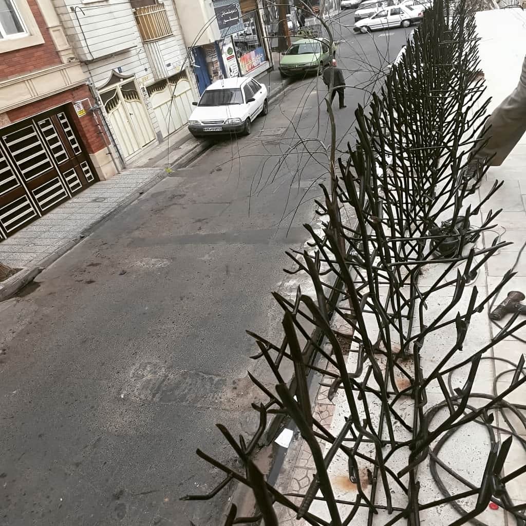 حفاظ بوته ای برای باغات