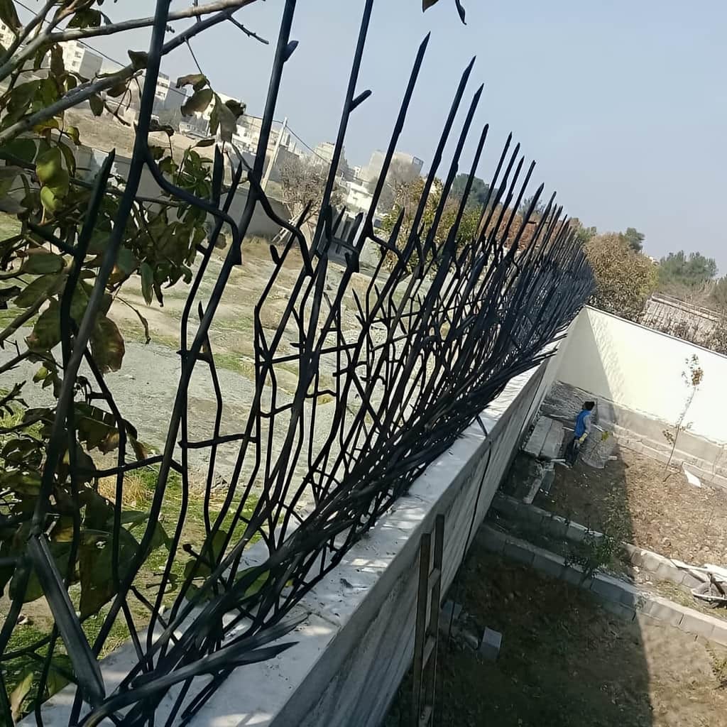 حفاظ شاخ گوزنی تراکم 31 قیمت