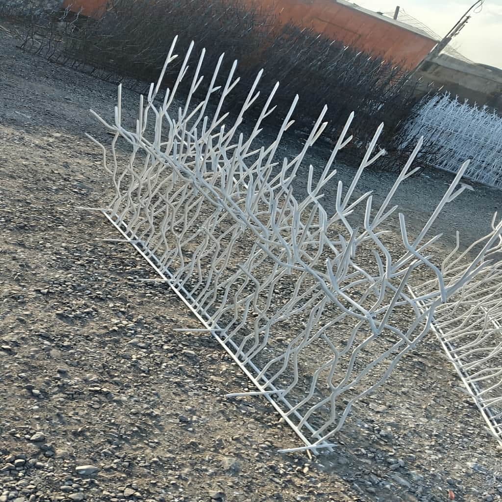 حفاظ شاخ گوزنی تراکم 31