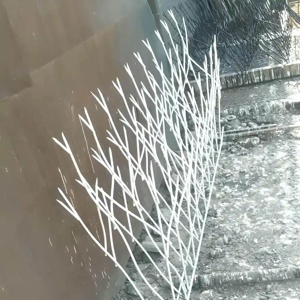 حفاظ شاخ گوزنی برای پروژه&zwnj;های بزرگ