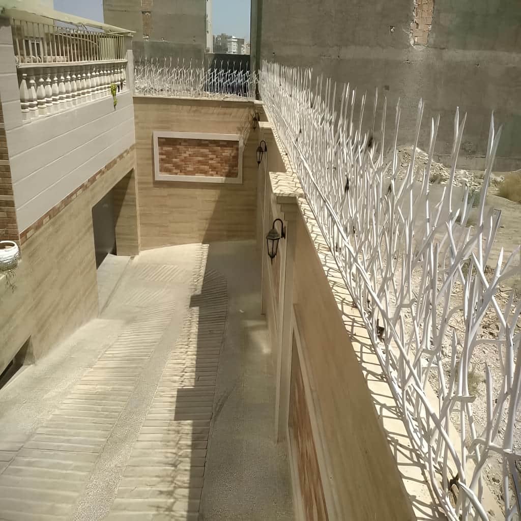 حفاظ شاخ گوزنی تراکم 34 قیمت