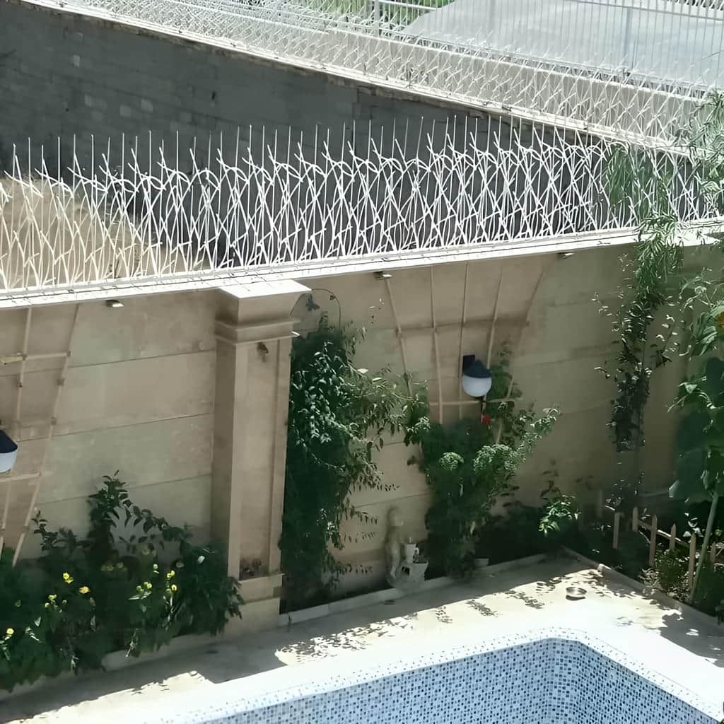 حفاظ شاخ گوزنی تراکم 40