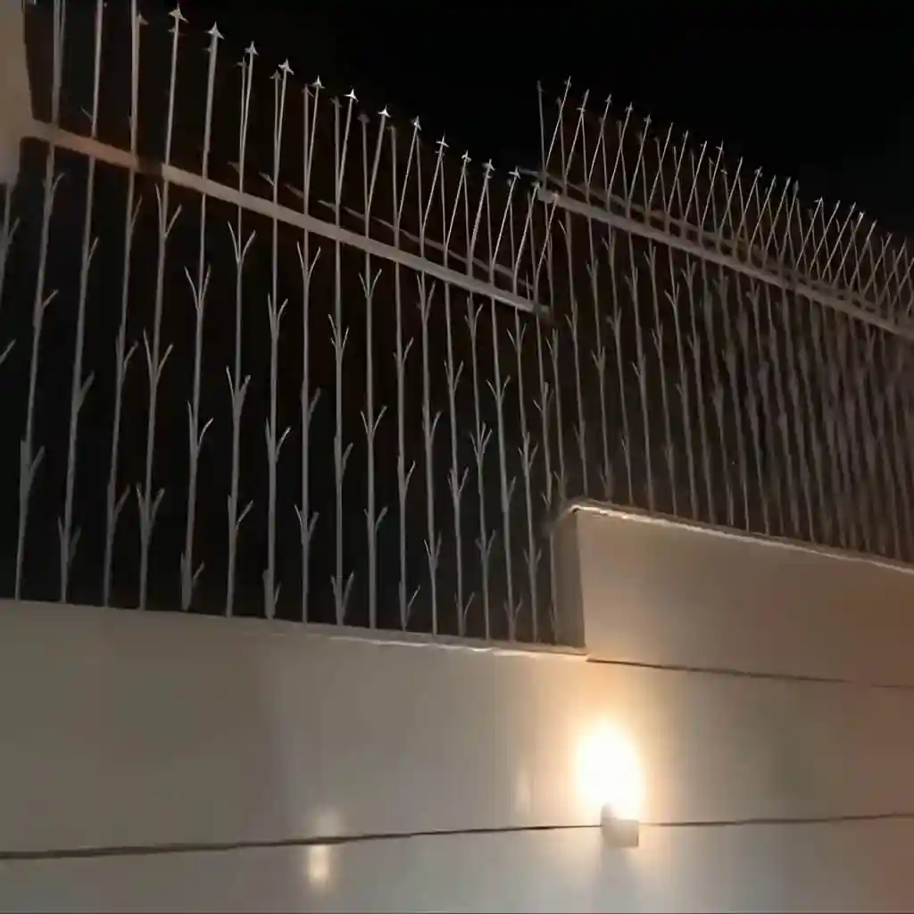 حفاظ برای امنیت بالا