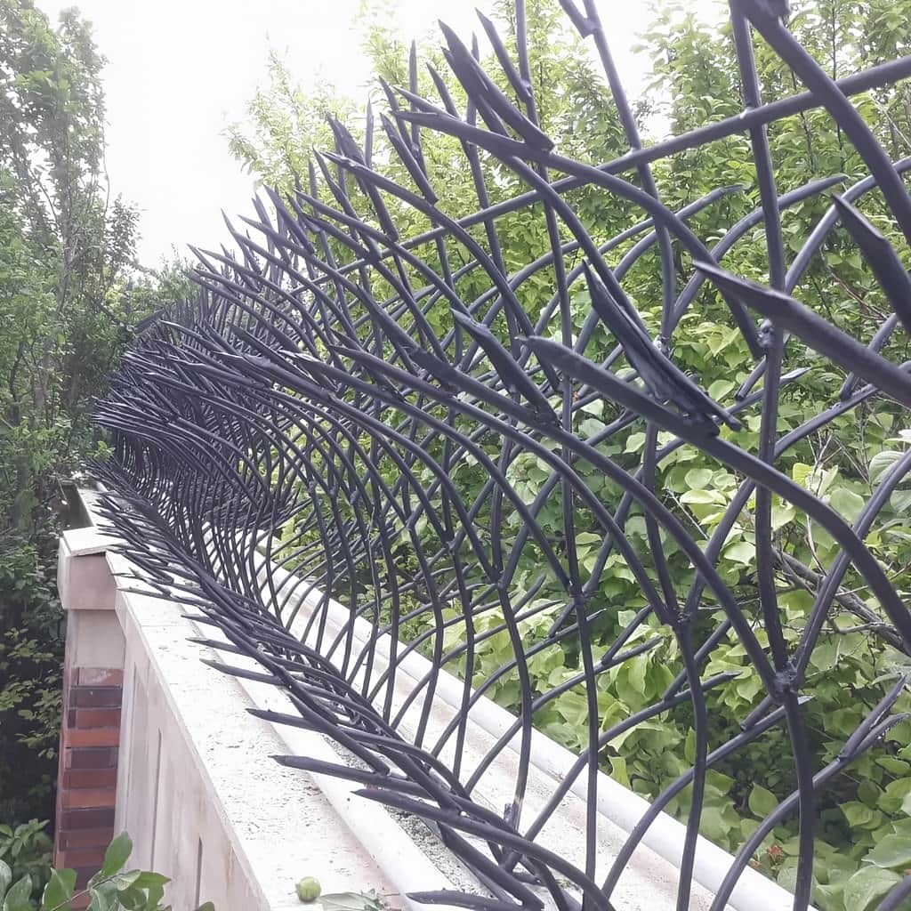 حفاظ حفاظتی