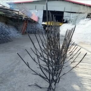 نرده شاخ گوزنی در استان گلستان