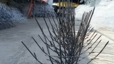 نرده شاخ گوزنی در استان گلستان