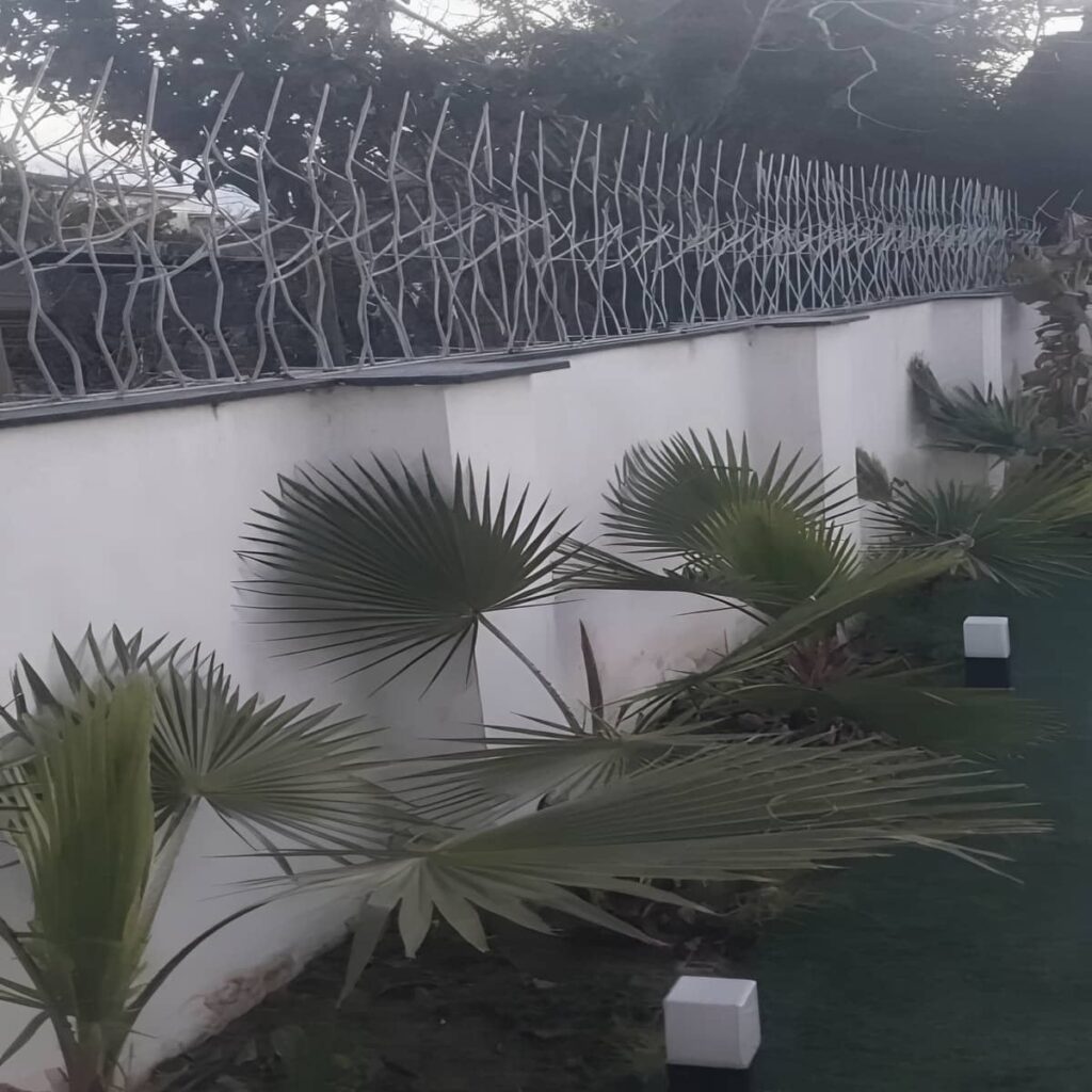 نرده شاخ گوزنی در رفسنجان