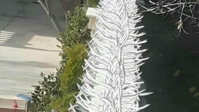 نرده شاخ گوزنی در کرمانشاه