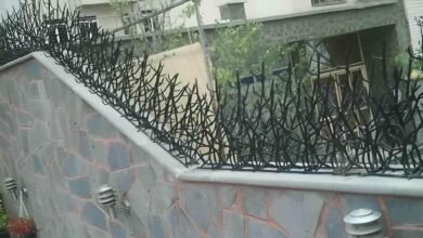 نرده شاخ گوزنی در مهرشهر کرج