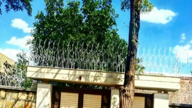 نرده شاخ گوزنی در بیرجند