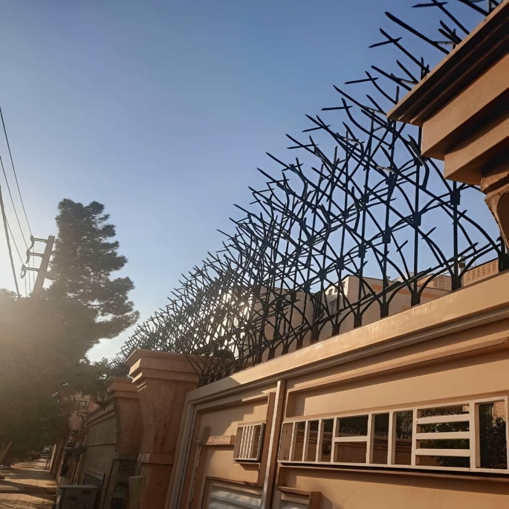 نرده شاخ گوزنی در نظرآباد