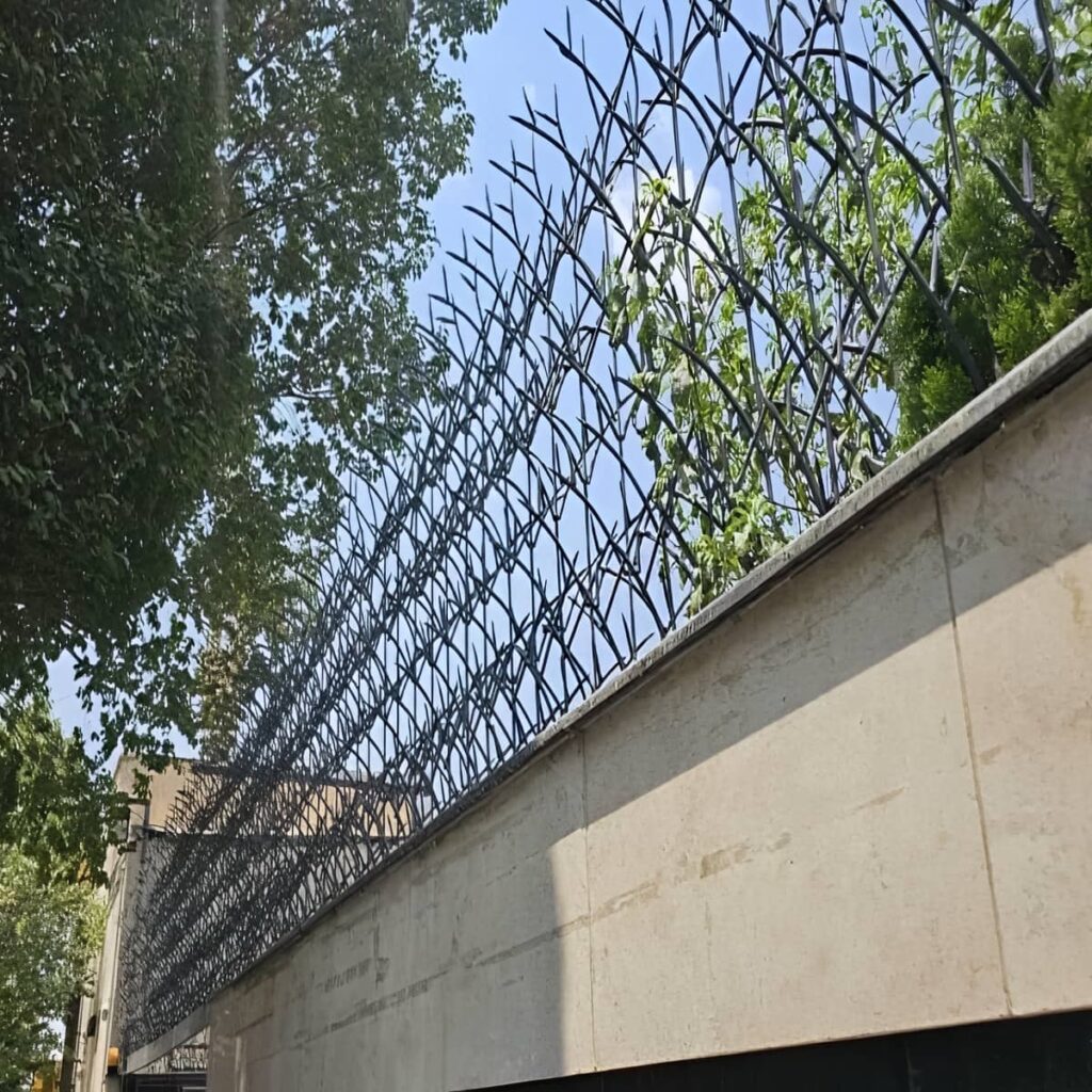 نرده شاخ گوزنی در کمال شهر