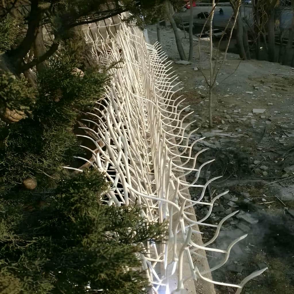 نرده شاخ گوزنی در آبادان