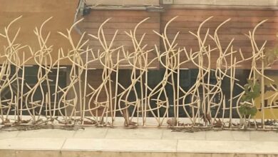 نرده شاخ گوزنی در مریوان