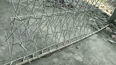 نرده شاخ گوزنی در چالوس