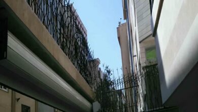 نرده شاخ گوزنی در رشت